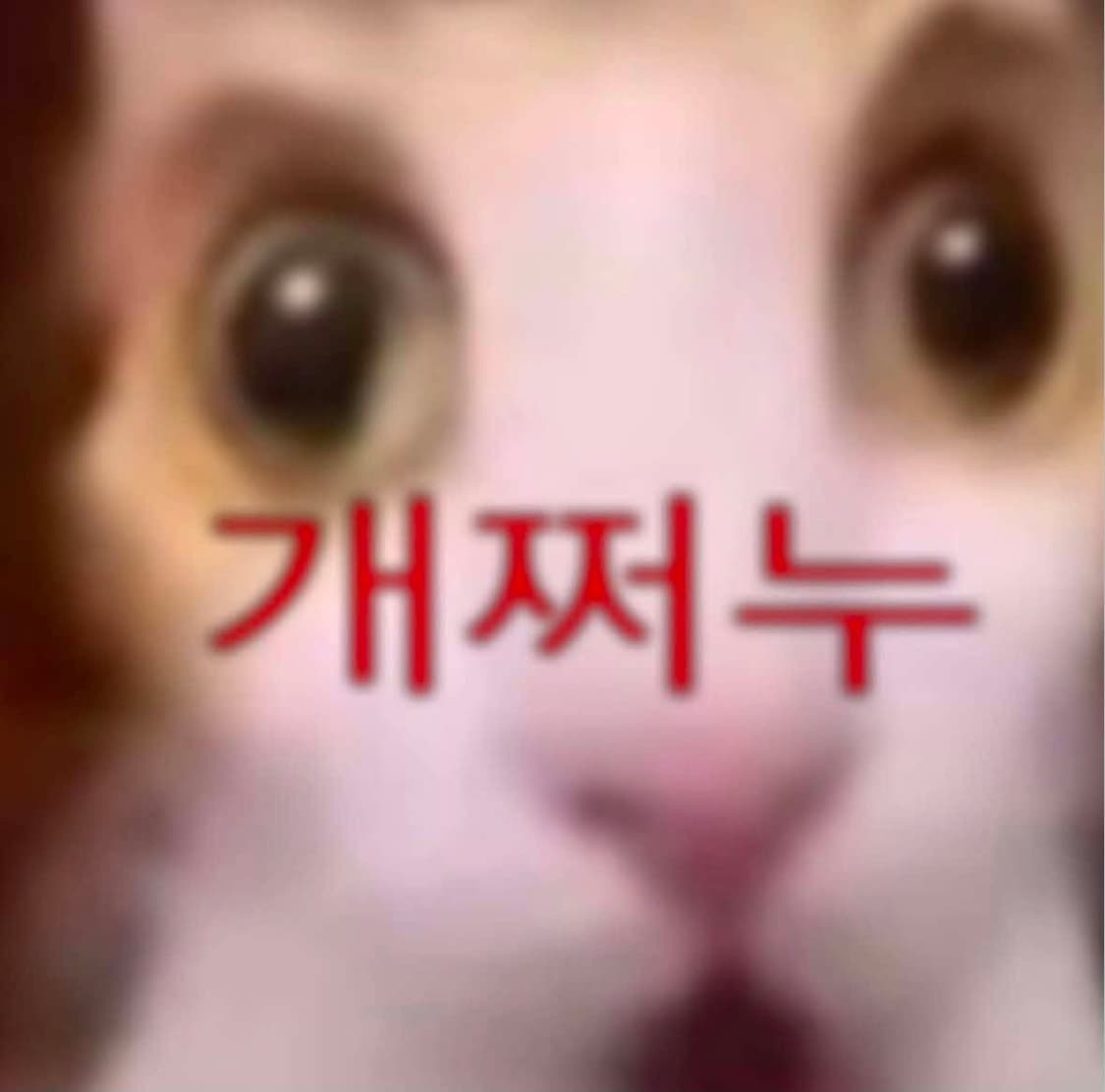 바겐세일 상품이미지1