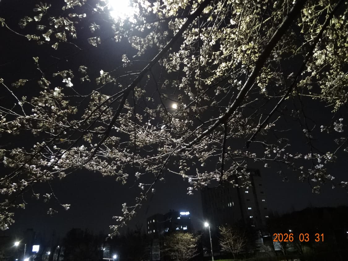 미연 디카🎀 소니 사이버 샷 cyber shot wx7 상품이미지4