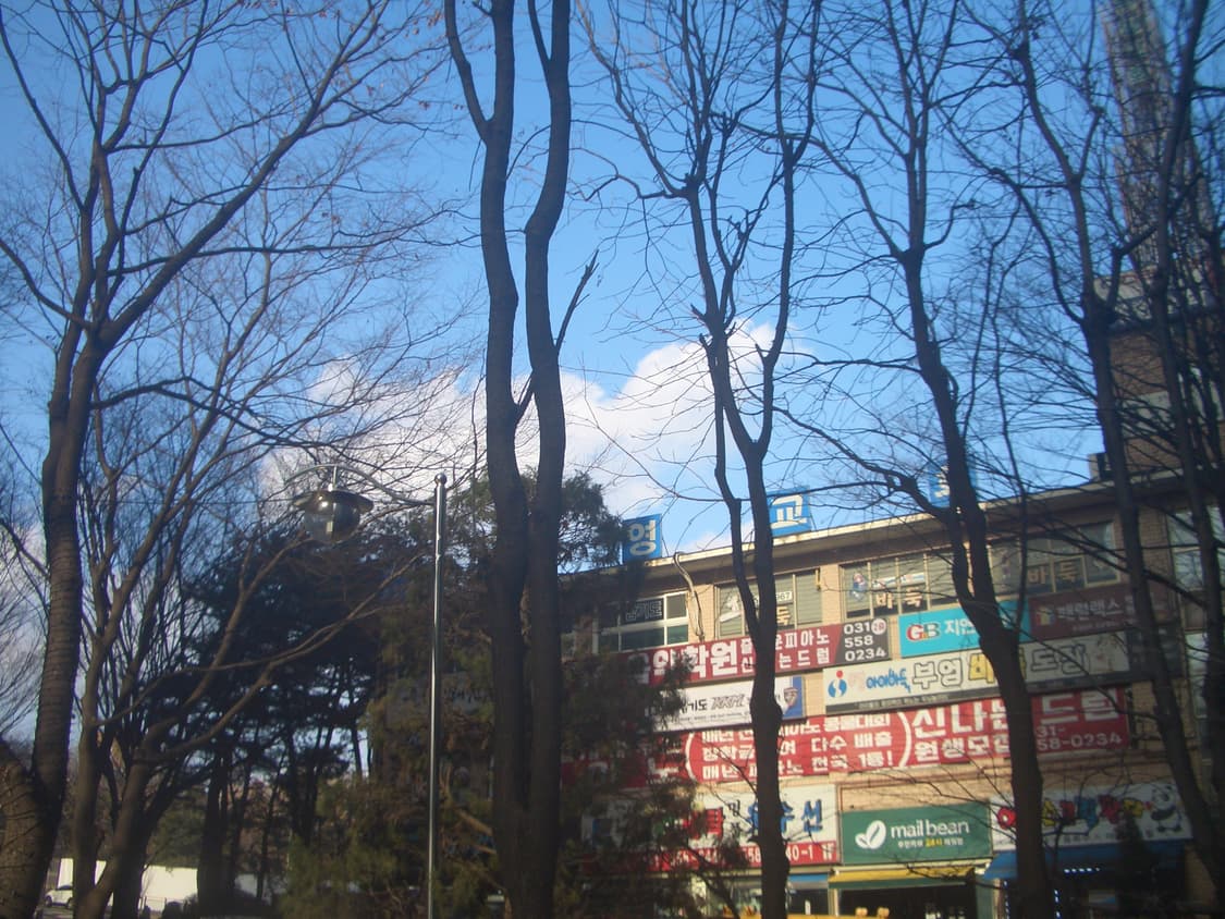 (작례O) 빈티지 디카 카시오 ex-z50 상품이미지8