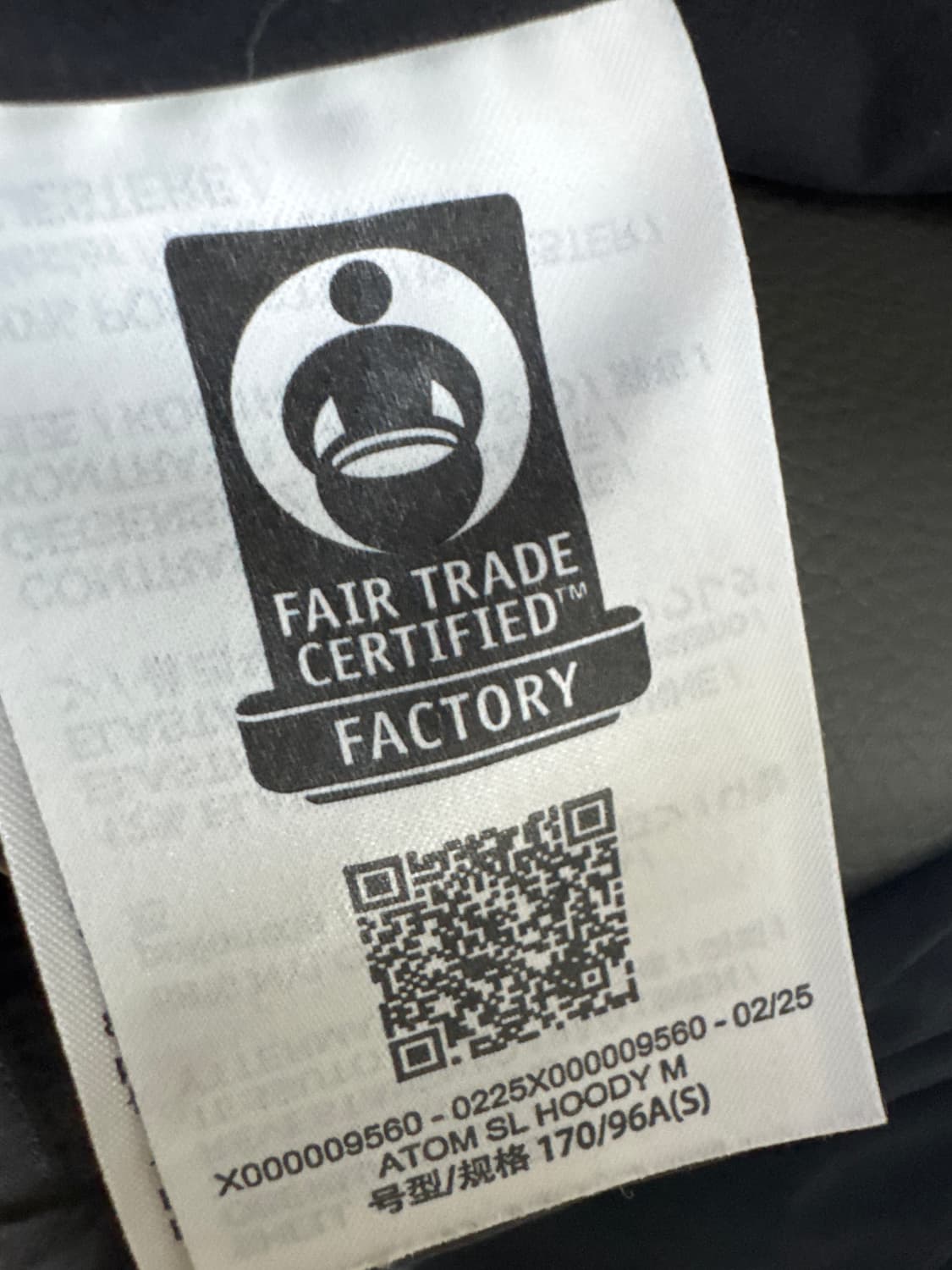 아크테릭스 아톰 후드 상품이미지6