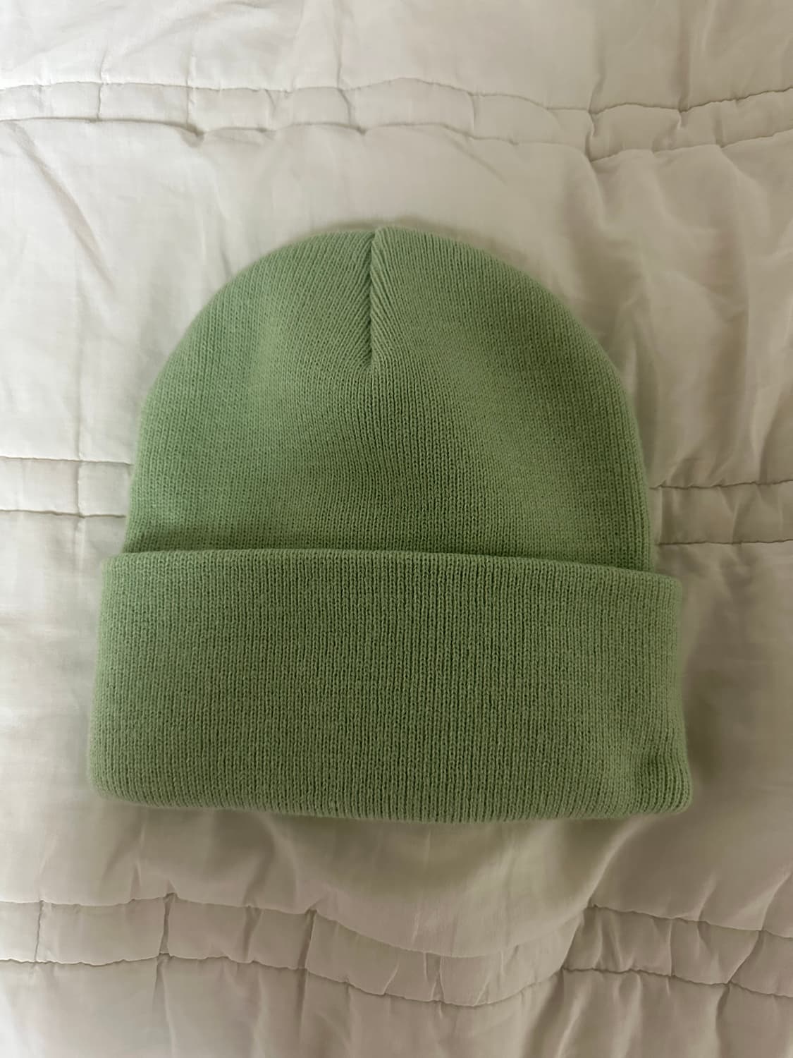 칼하트 비니 상품이미지2