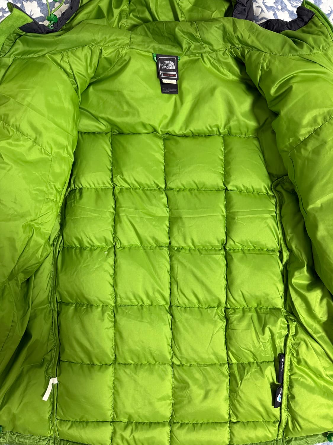 [무료배송][L] 노스페이스 써밋 800 상품이미지3