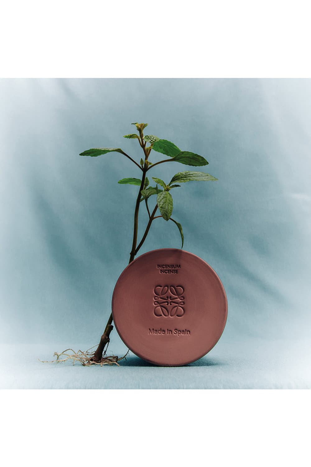 로에베 캔들 인센스 s 상품이미지3