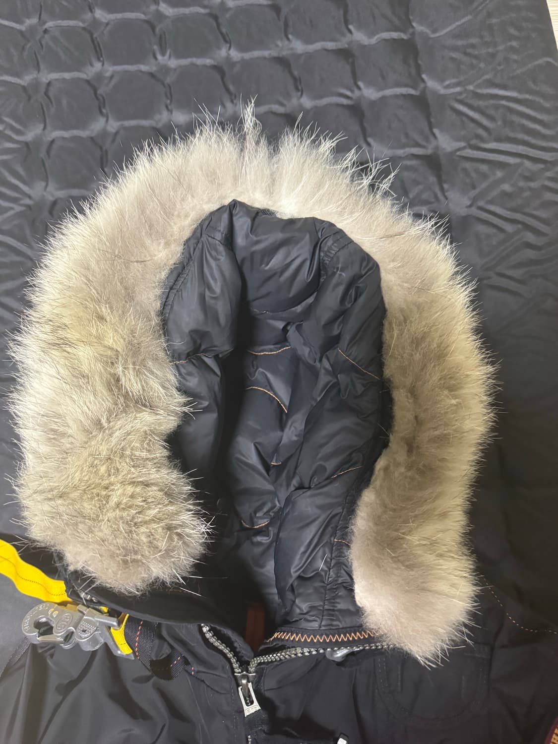 파라점퍼스고비 m사이즈  상품이미지3