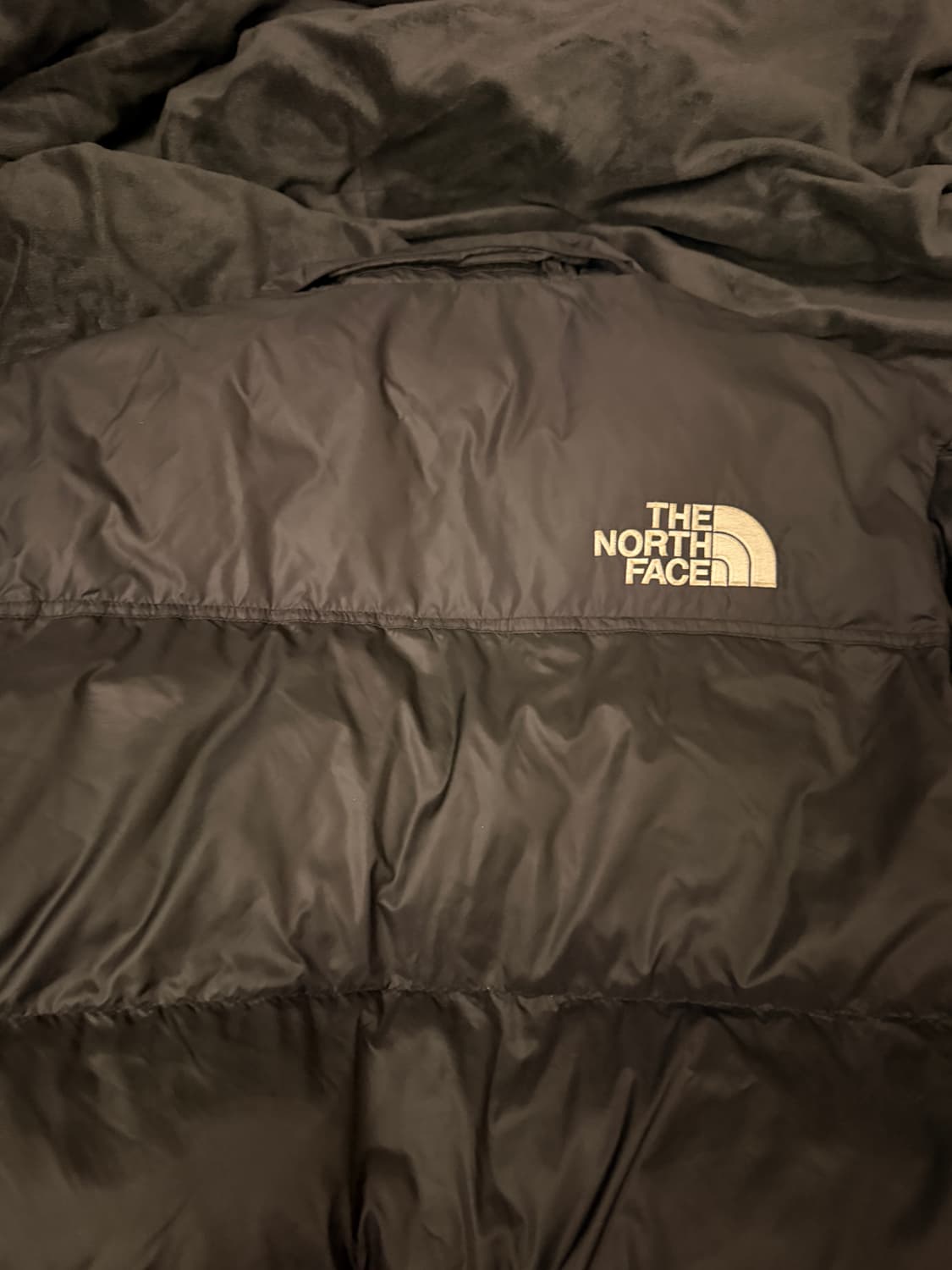 노스페이스 에코눕시 1996 패딩 상품이미지5