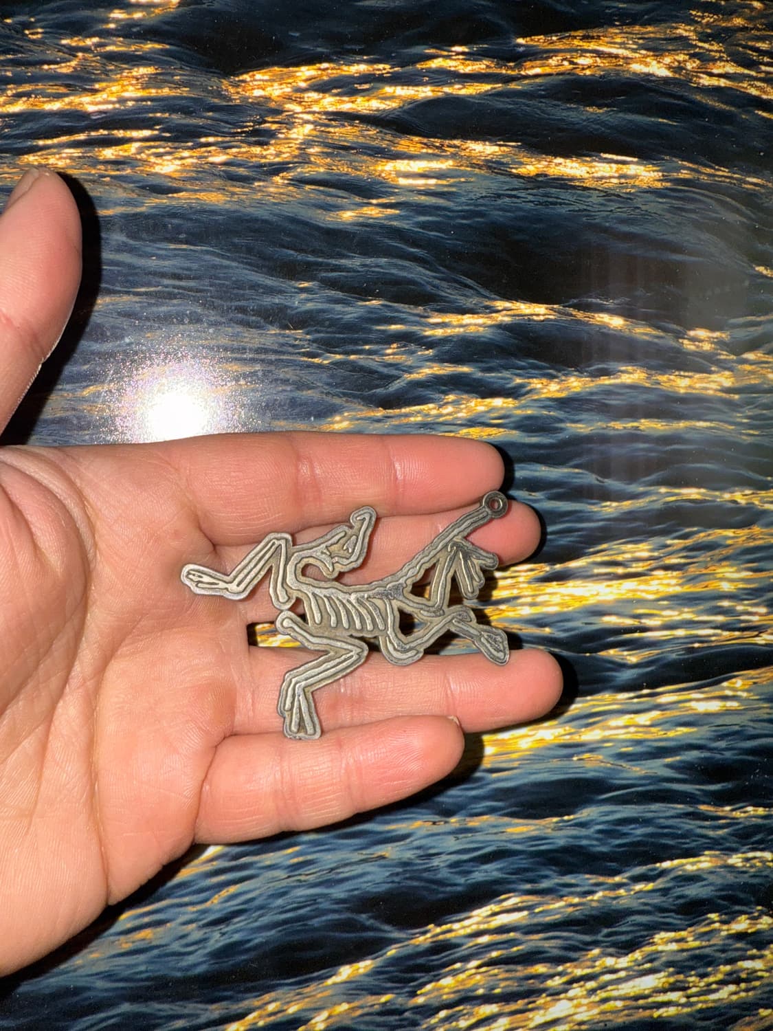 아크테릭스 키링 상품이미지1