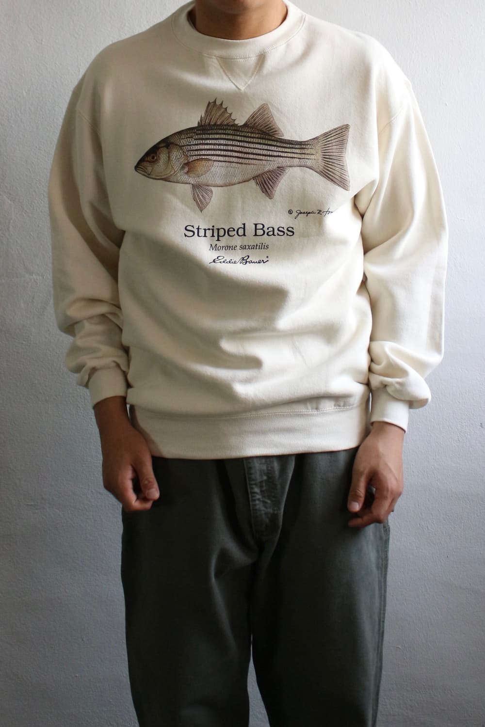 lot of 3 bunddle  상품이미지7