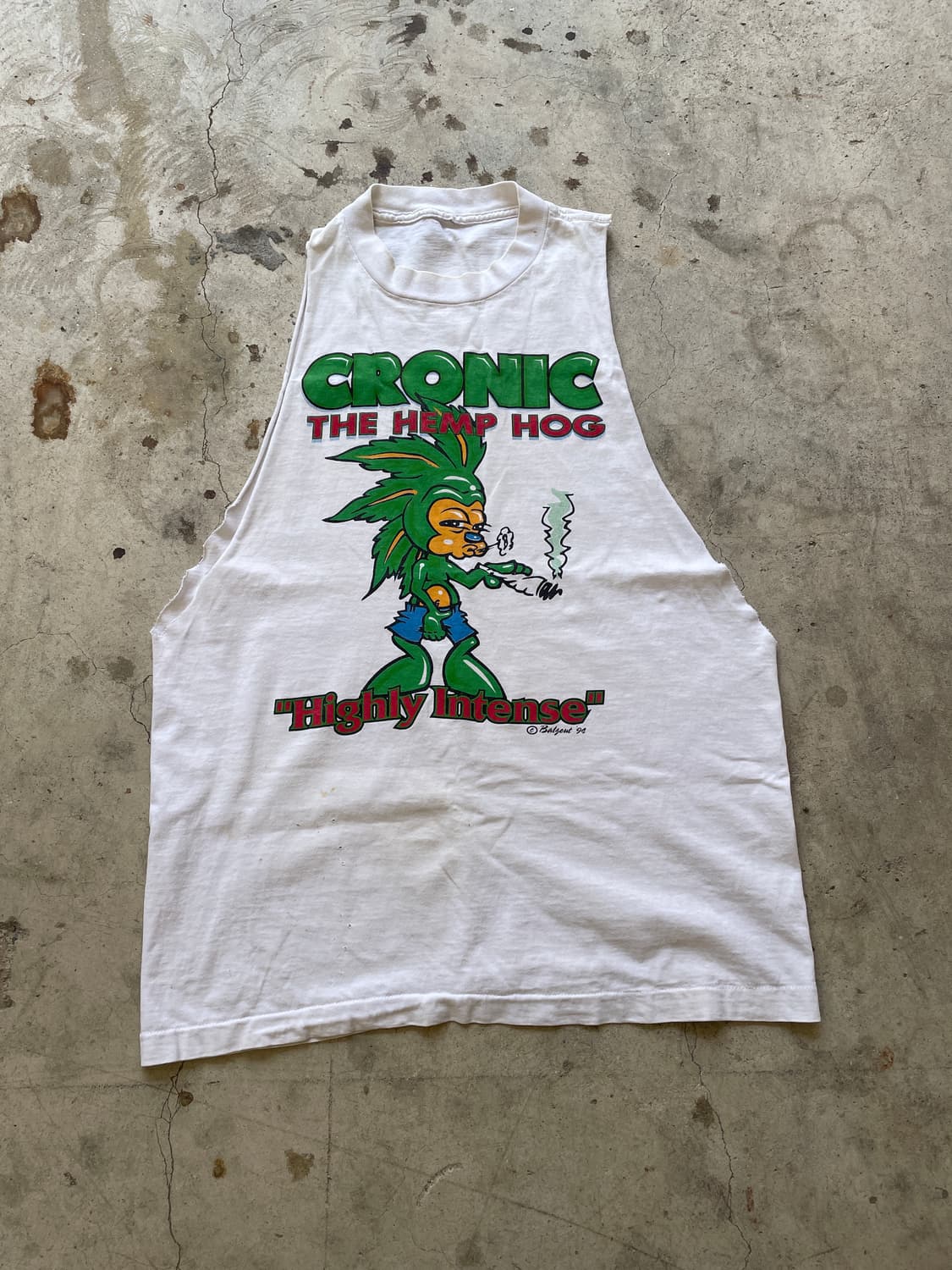 90s Chronic Sonic Parody Distressed 상품이미지2