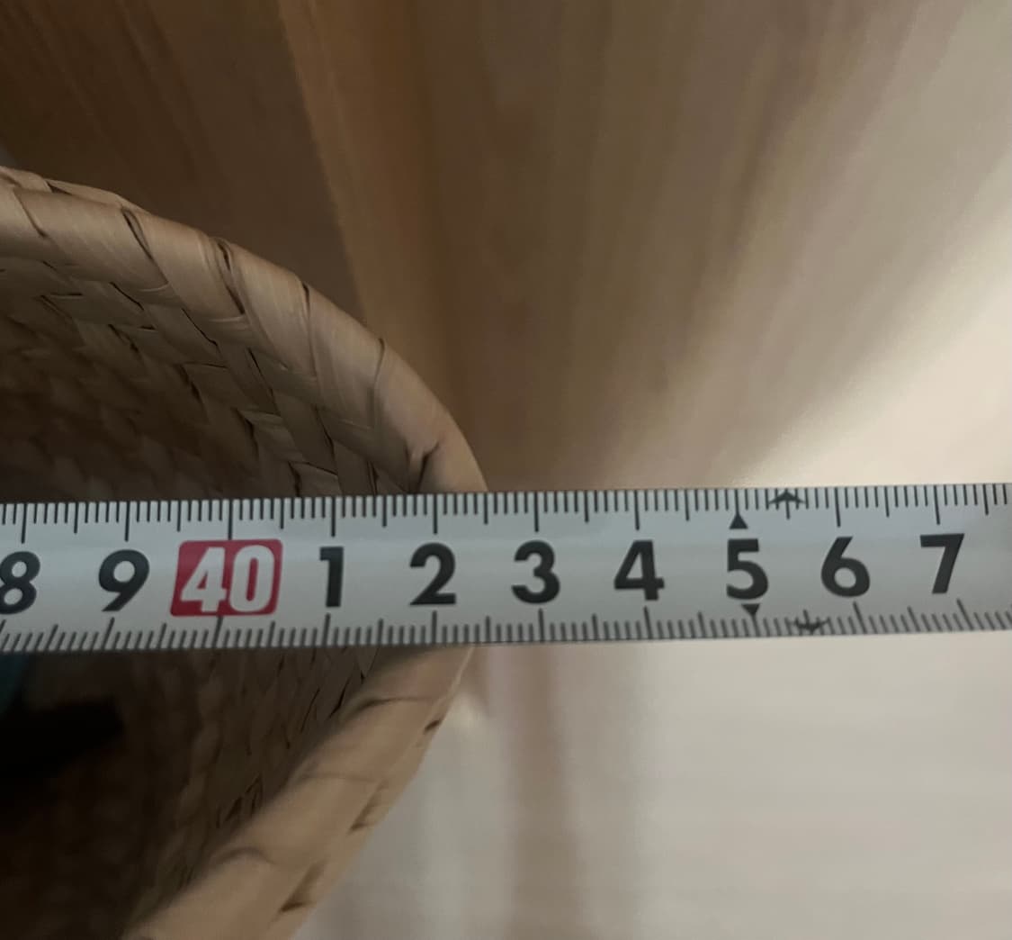 로에베 바스켓백 라피아 카프스킨  상품이미지9