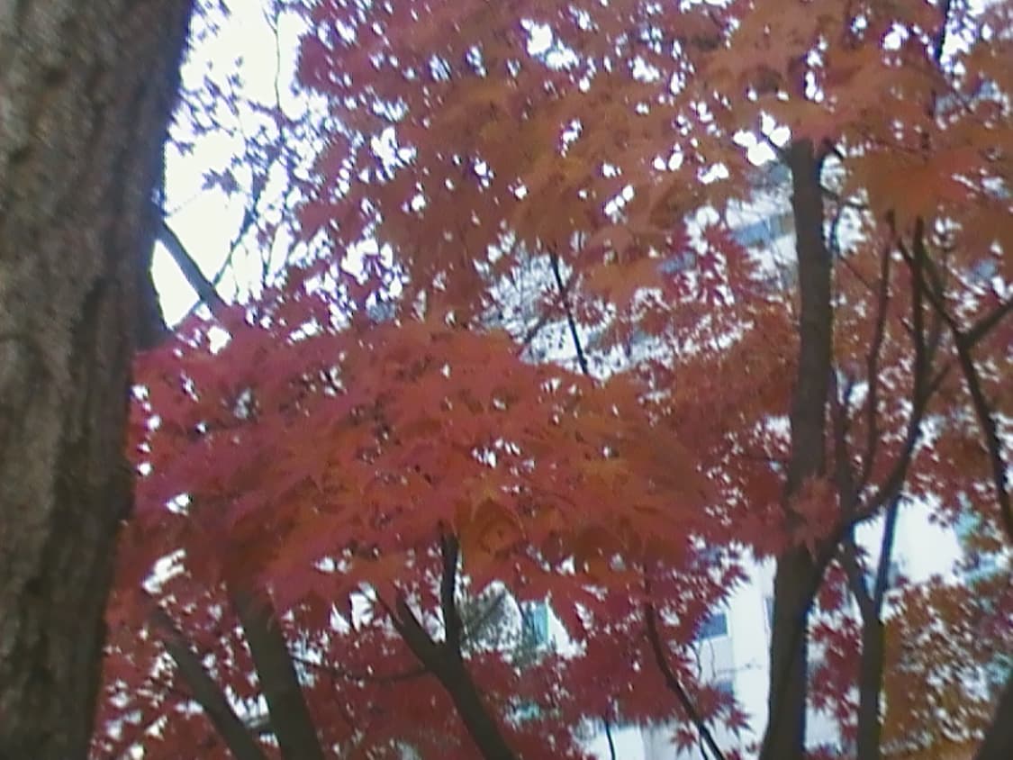 삼성 캠코더 / 디카 상품이미지5