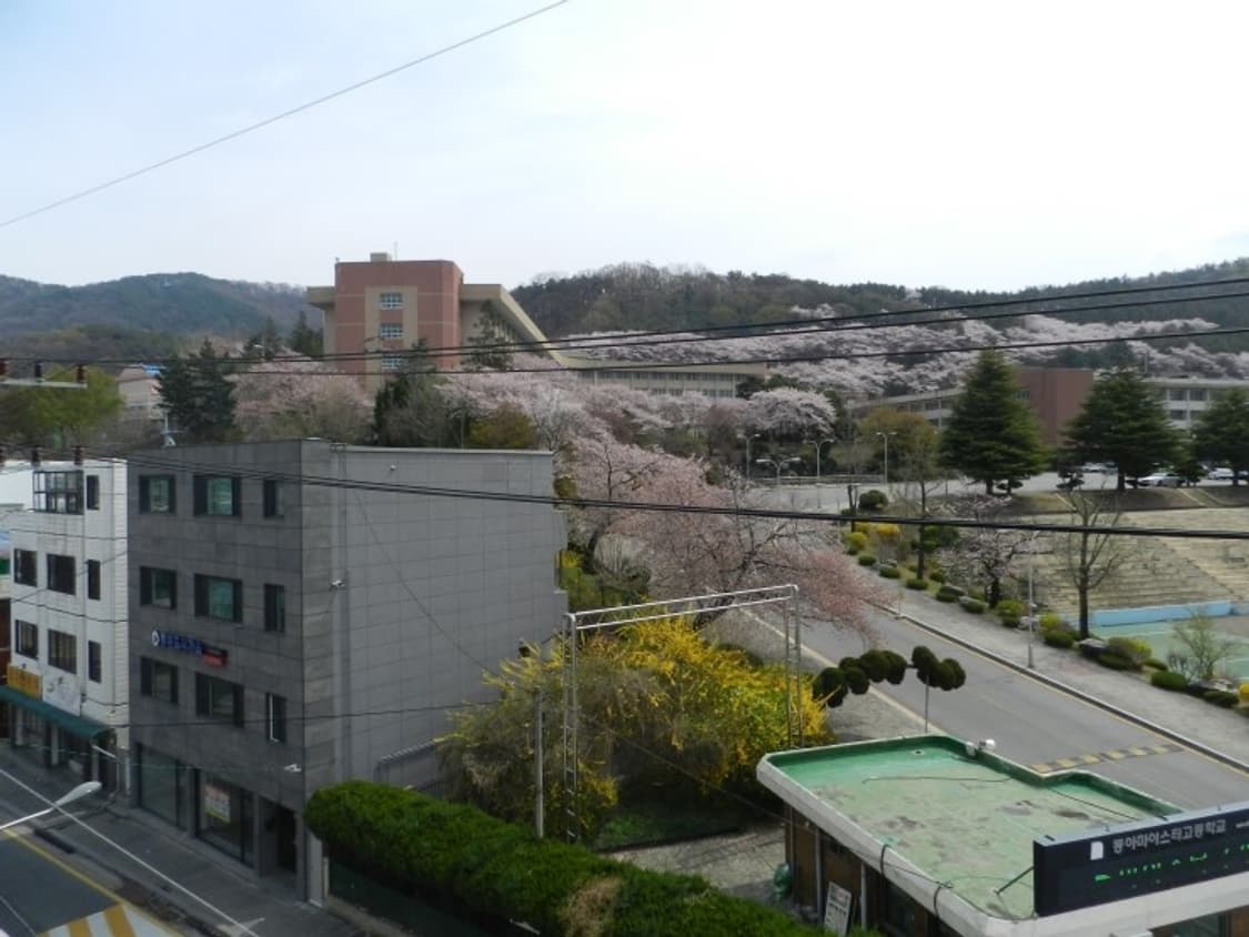 니콘 쿨픽스 p500 디카 (빈티지 카메라) 상품이미지7