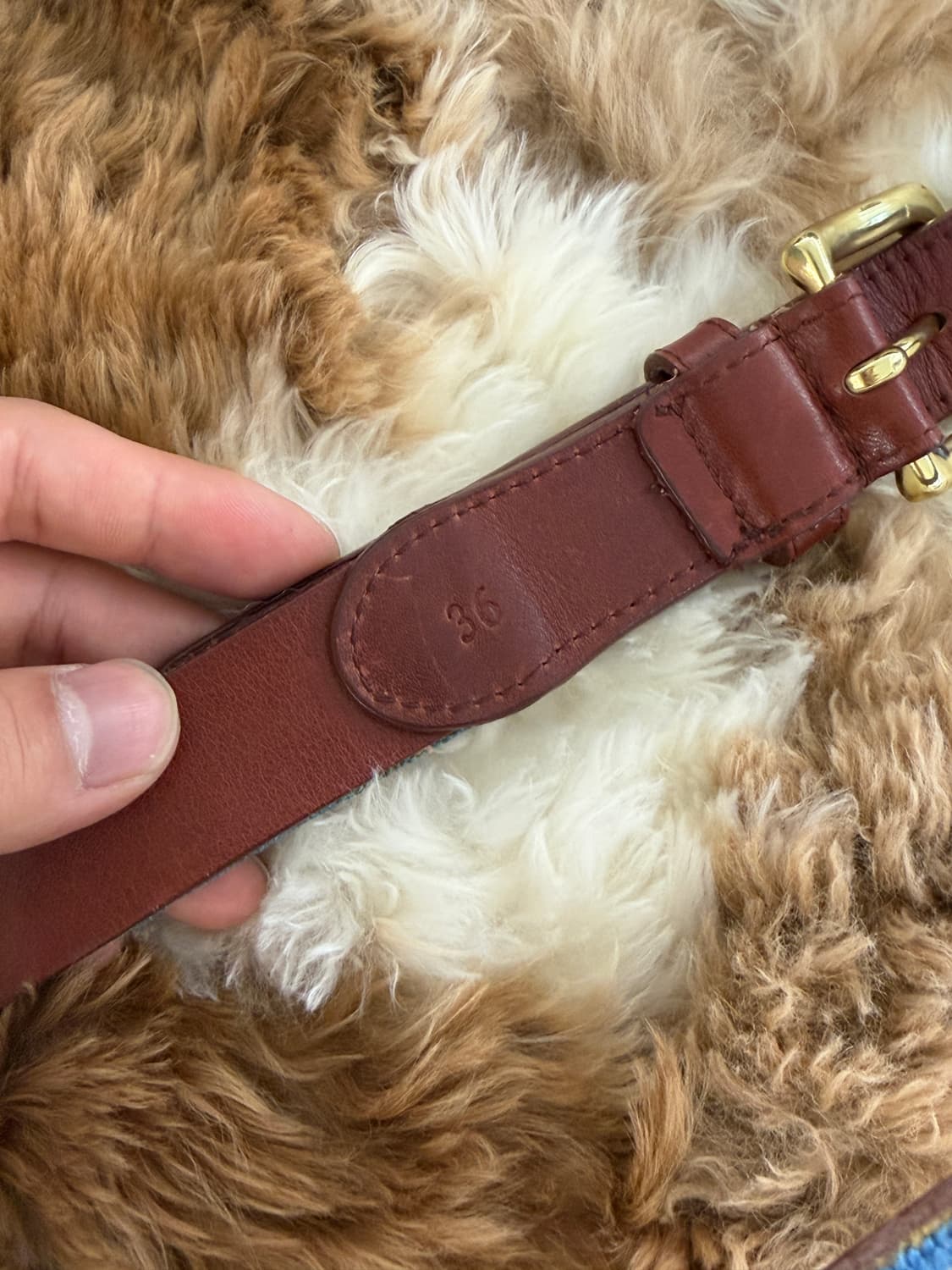  Tucker Blair needle point belt 상품이미지9