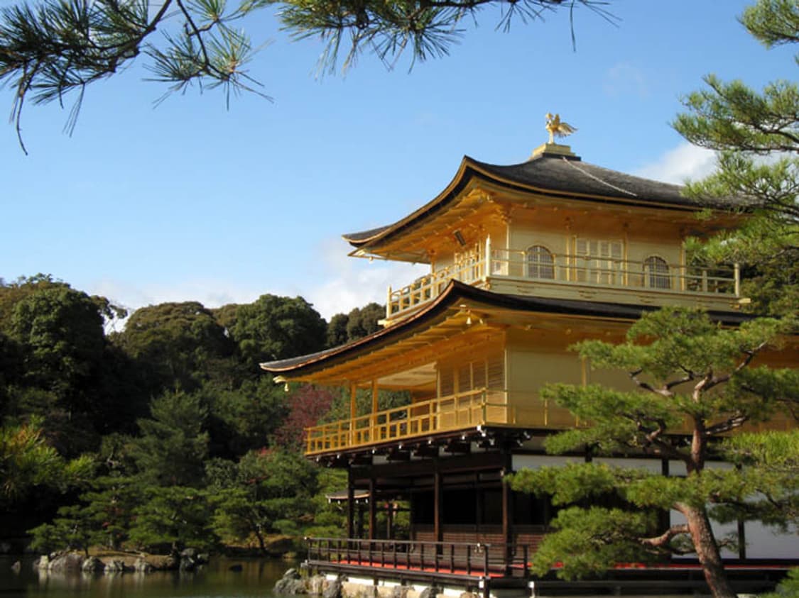 Canon PowerShot A430 (캐논 파워샷 A430) 상품이미지9