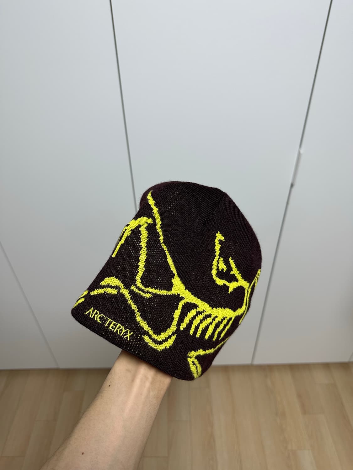 아크테릭스 버드 헤드 비니 급처 상품이미지6