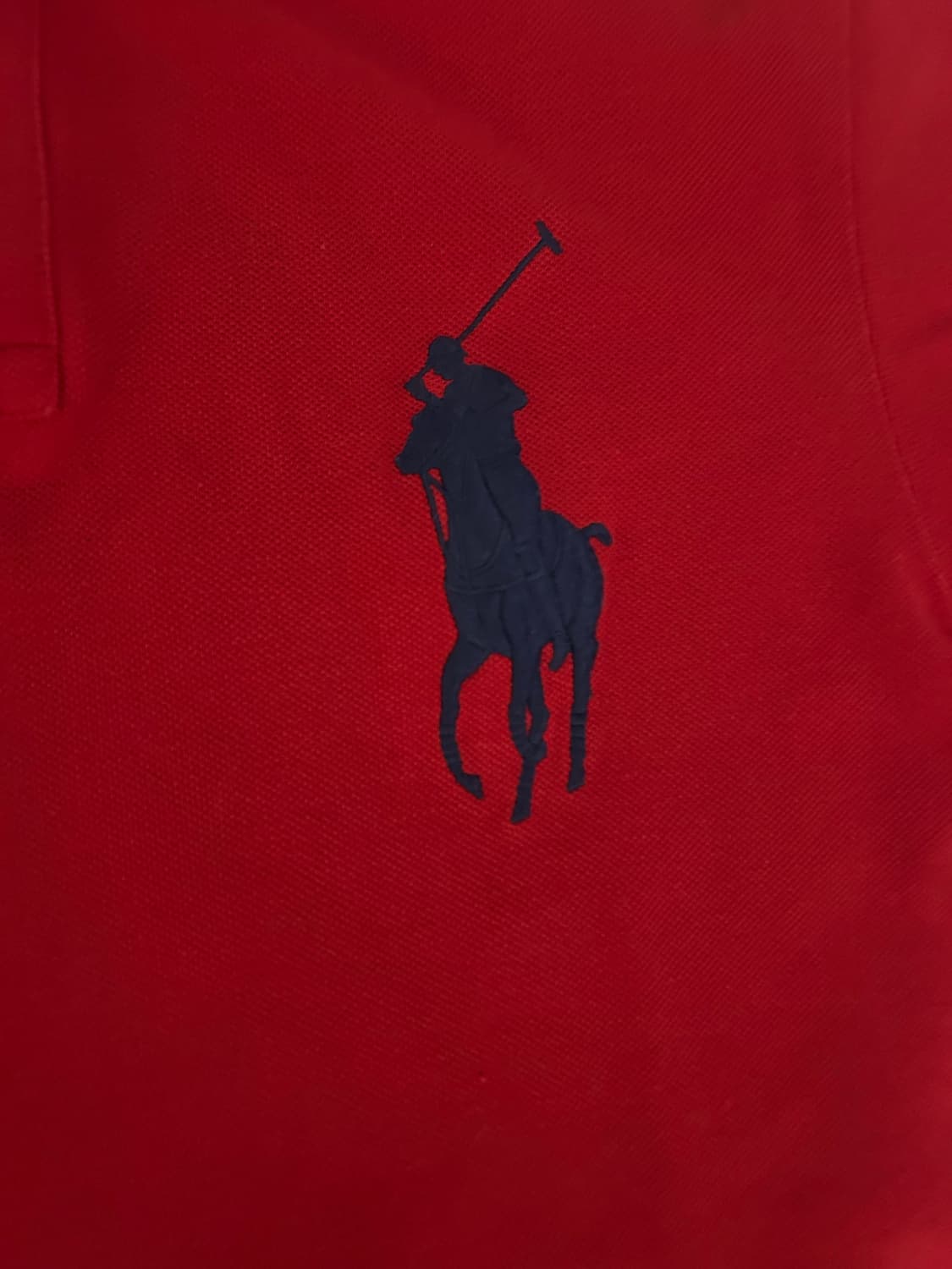 (무료배송)폴로 랄프로렌 빅포니 브리튼 카라티 상품이미지2