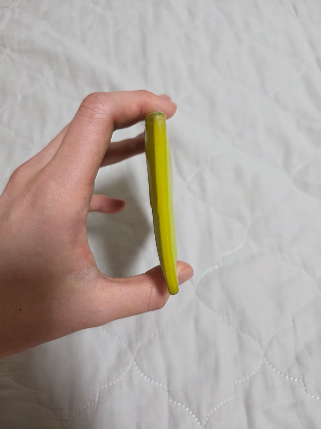 보테가베네타 카세트 카드지갑 키위 상품이미지3