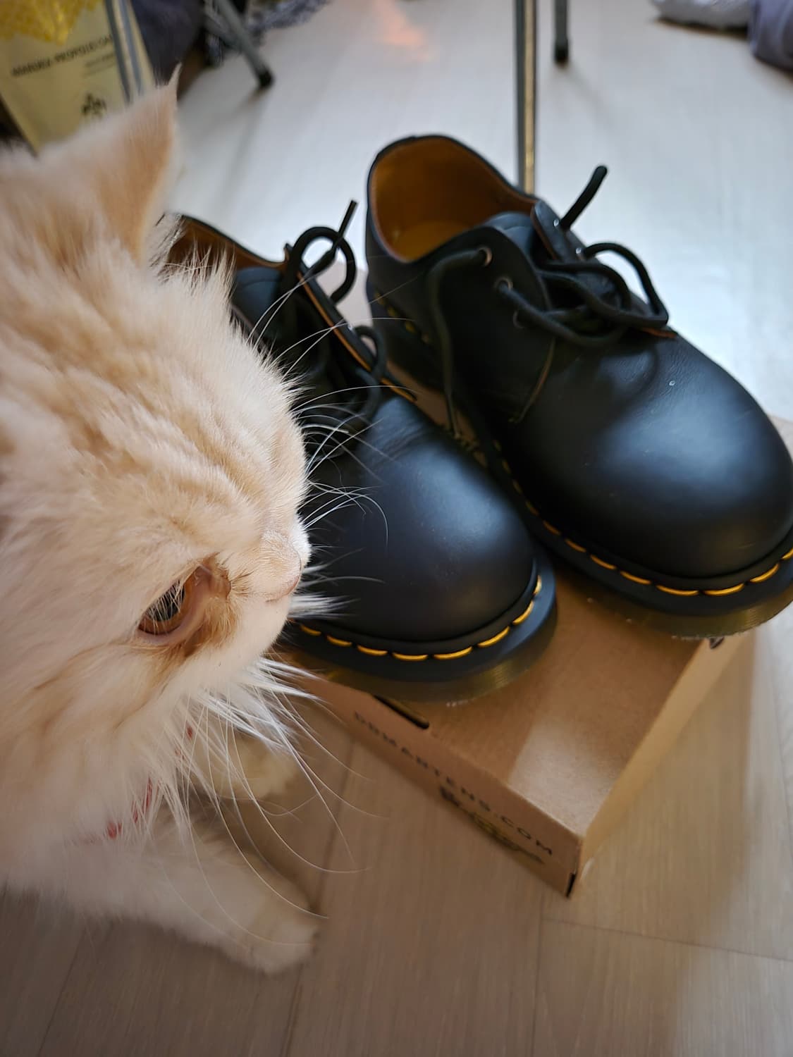 닥터마틴 1461 블랙 나파 3홀 상품이미지3