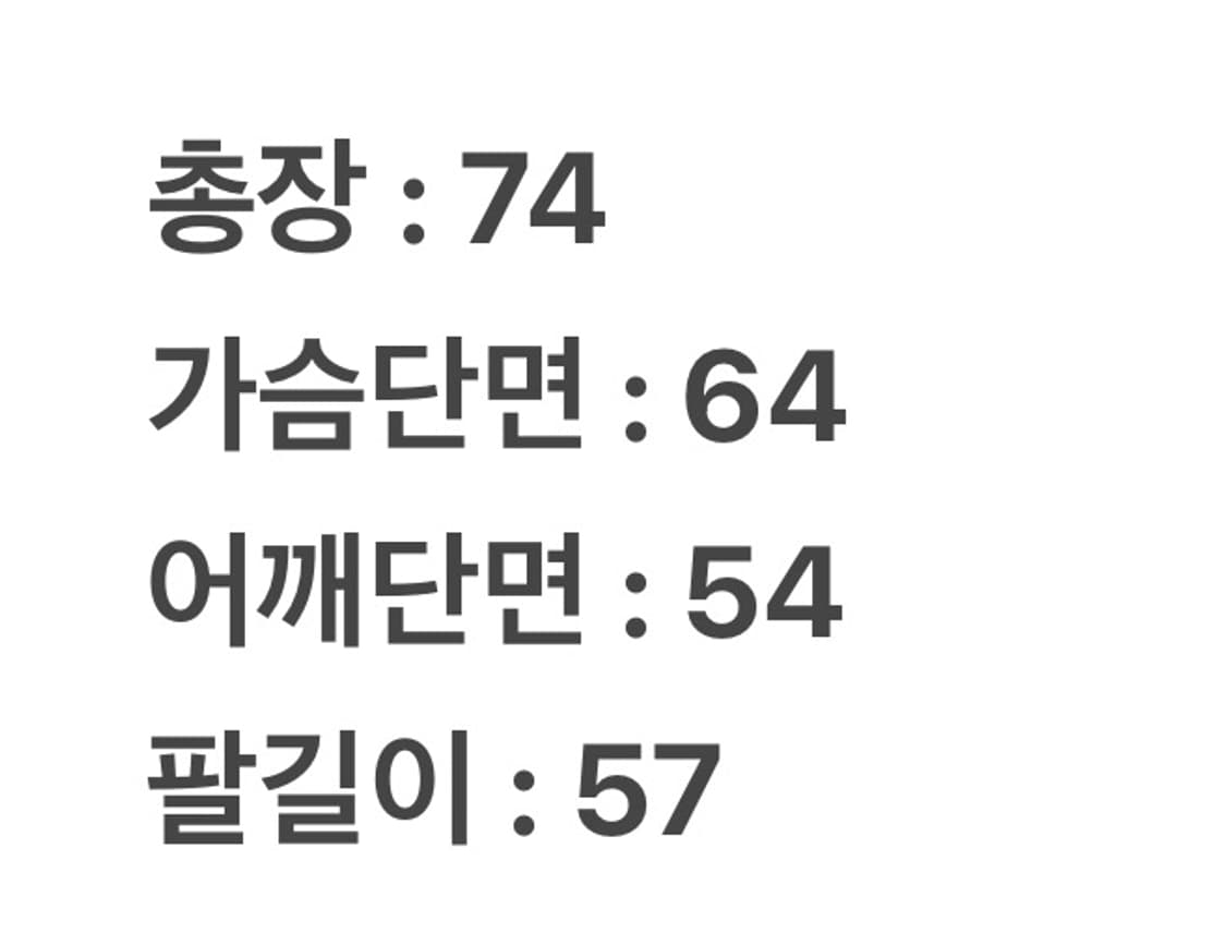 [정품] 일본 빈티지 vision company 펩시 아노락 패딩 자켓 상품이미지7