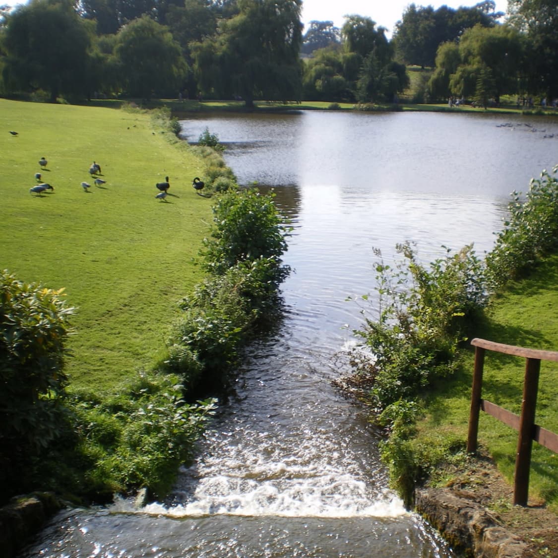 디카 펜탁스 옵티오 v10 (작례 0) 상품이미지3