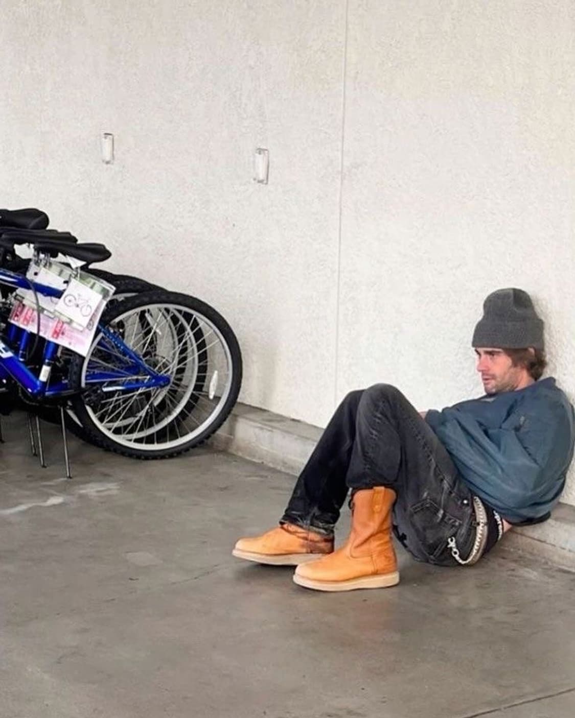 레드윙 페코스 아이리쉬 세터 골드러셋 상품이미지5