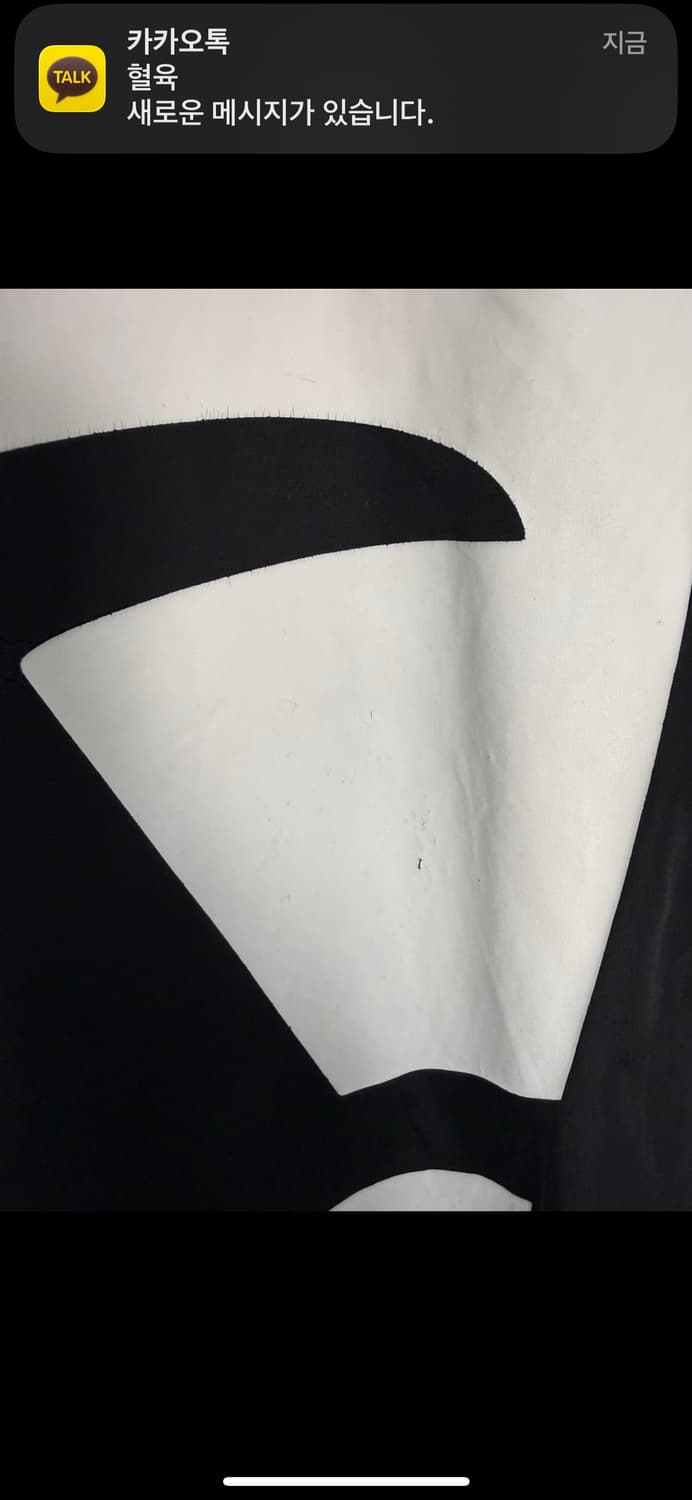 챔피온 아치로고 빅 프린팅 블랙 풀오버 아노락자켓 A3137 상품이미지8