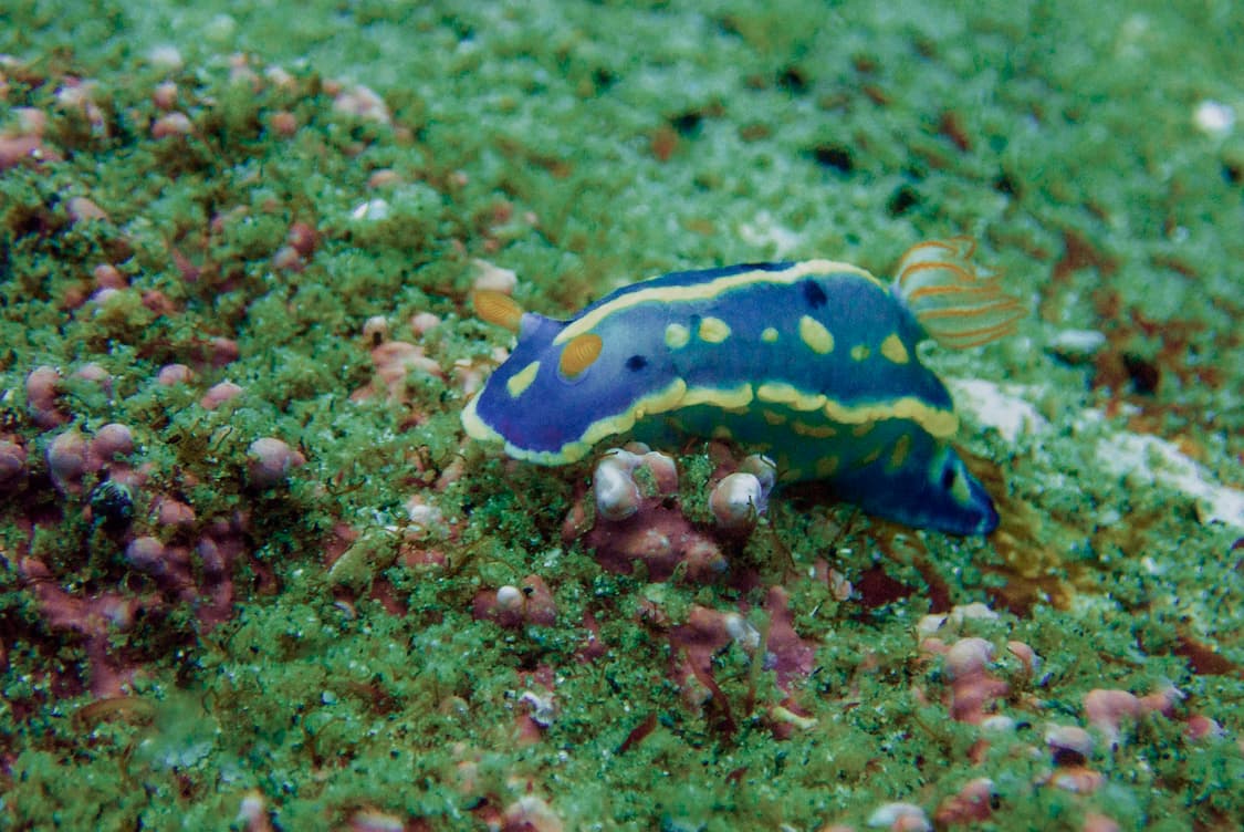 올림푸스 tg5 상품이미지8