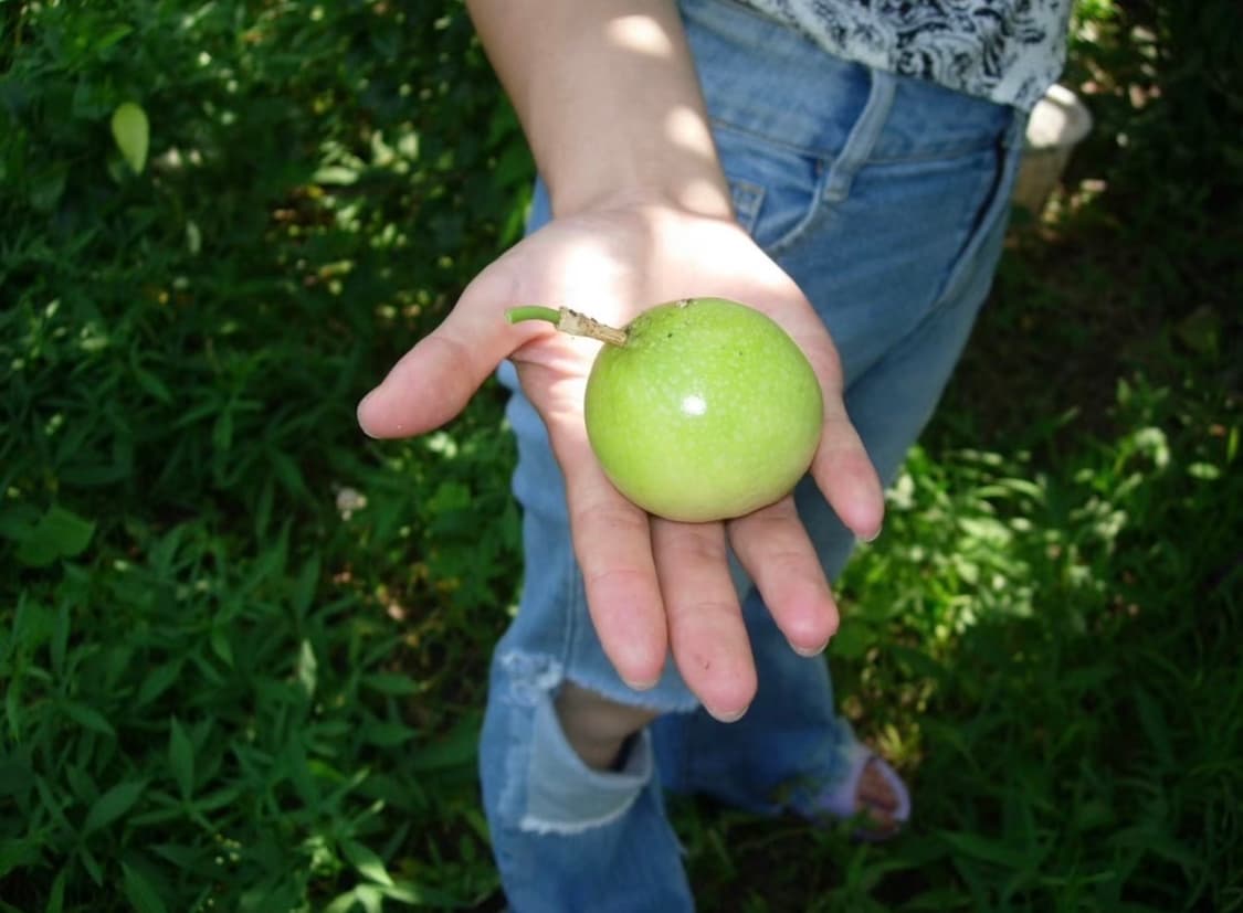 (S급 풀박스🫧) 니콘 쿨픽스 S2900 | Nikon Coolpix 상품이미지4