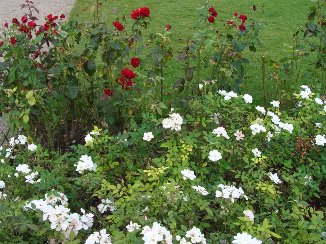 (작례)JVC Victor Everio gz-mg740 캠코더 디카 상품이미지5