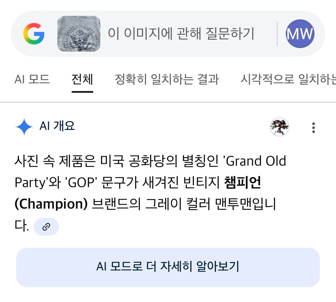 택포) 80s USA 챔피온 미국 공화당 빈티지 스웻셔츠 맨투맨 상품이미지6