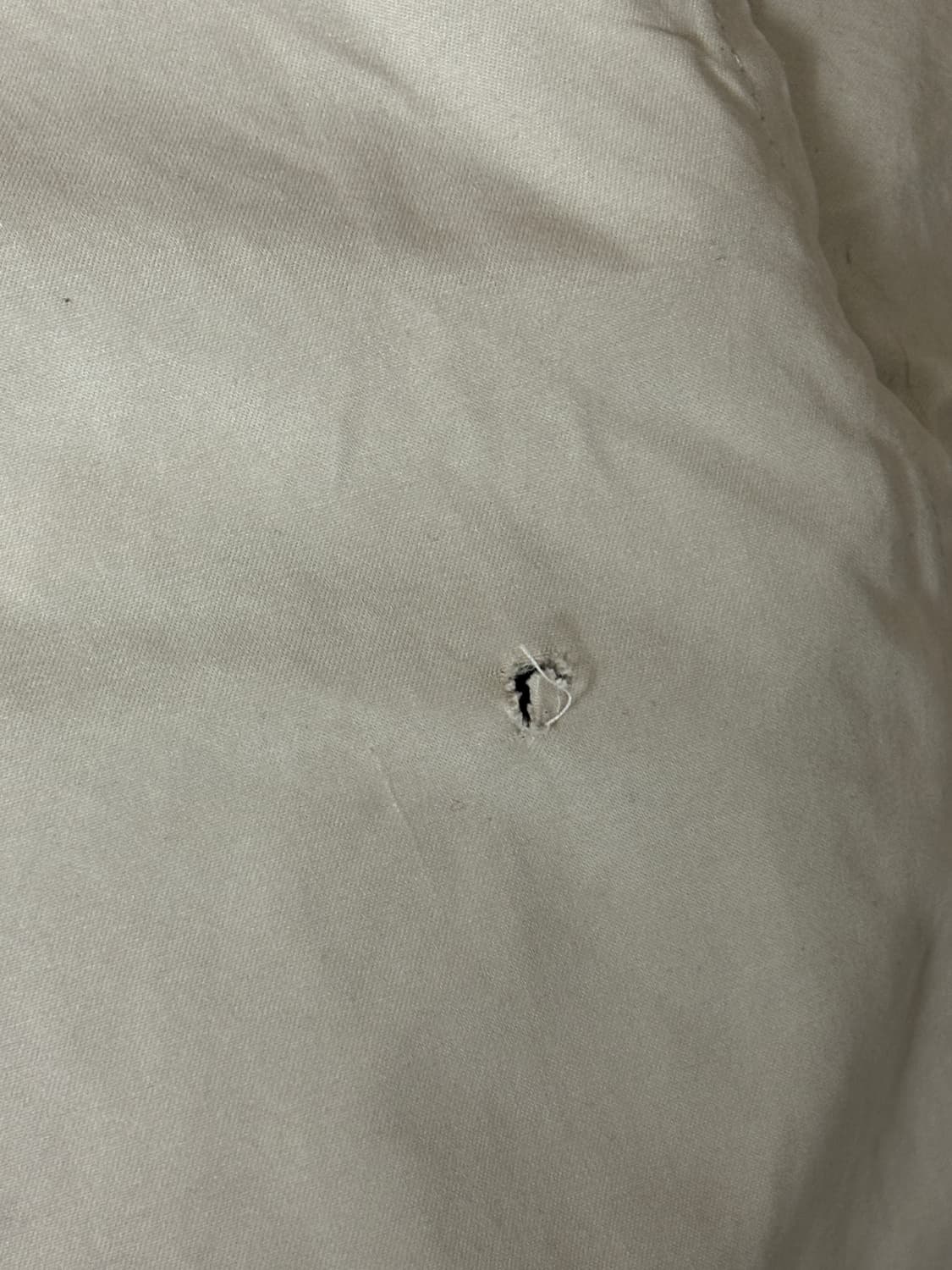 폴로 랄프로렌 스윙톱 자켓 TX 베이지(미국) 상품이미지7