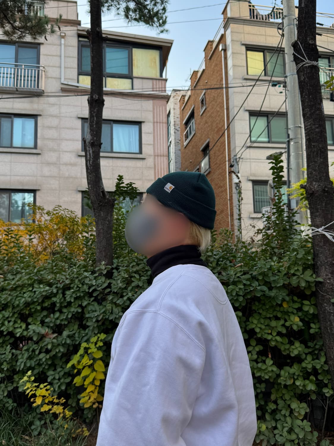 칼하트 비니 그린 상품이미지2