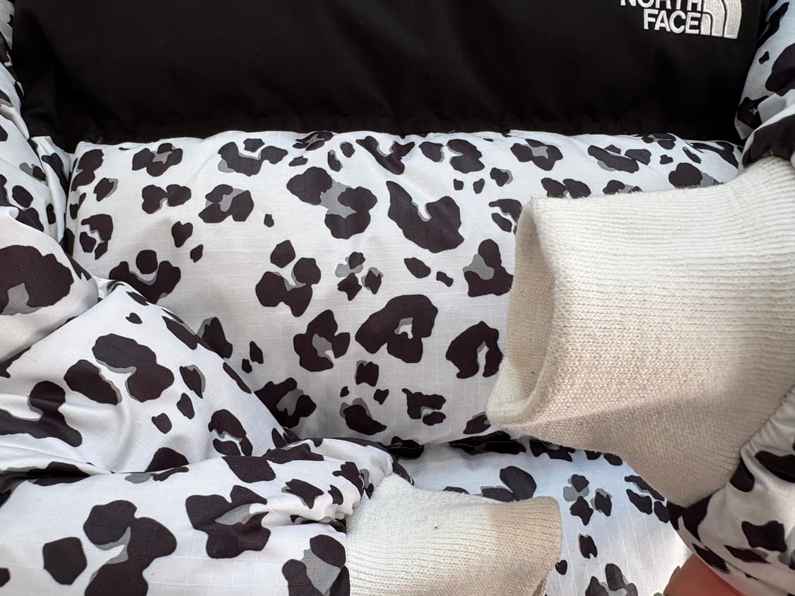 노스페이스 화이트라벨 눕시 패딩 레오파드 호피 S 상품이미지4