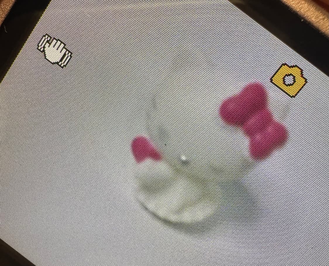 카시오 엑슬림 ex-550 핑크 디카 상품이미지7