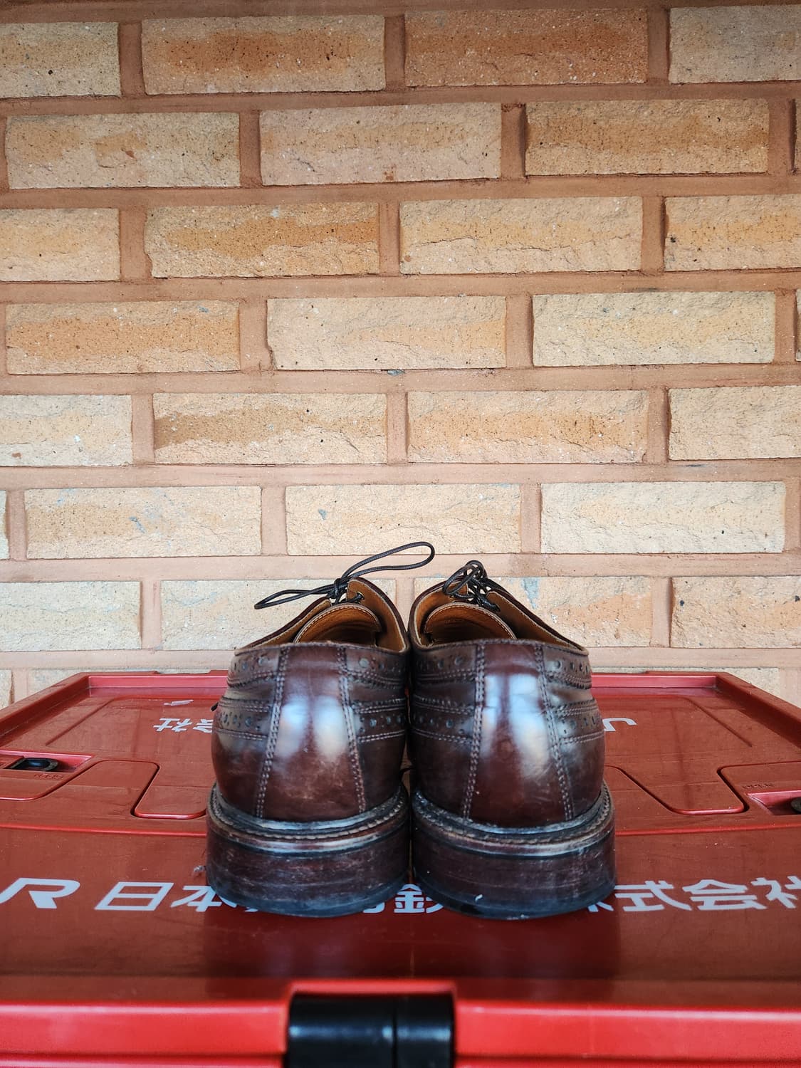 J.crew 롱윙 윙팁 6홀 드레스 슈즈 상품이미지5