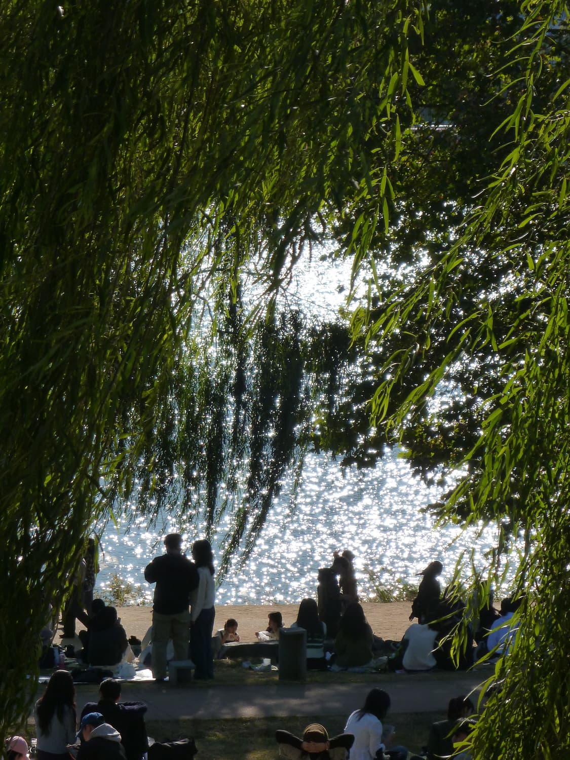 니콘 coolpix P5000 (작례O) 상품이미지4