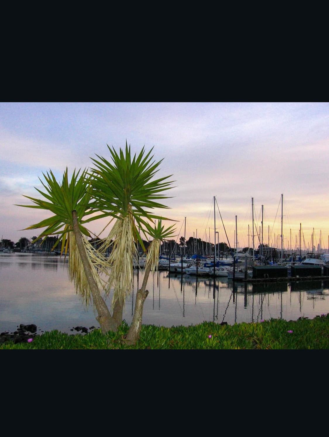 캐논 파워샷 a510 디지털카메라 상품이미지9