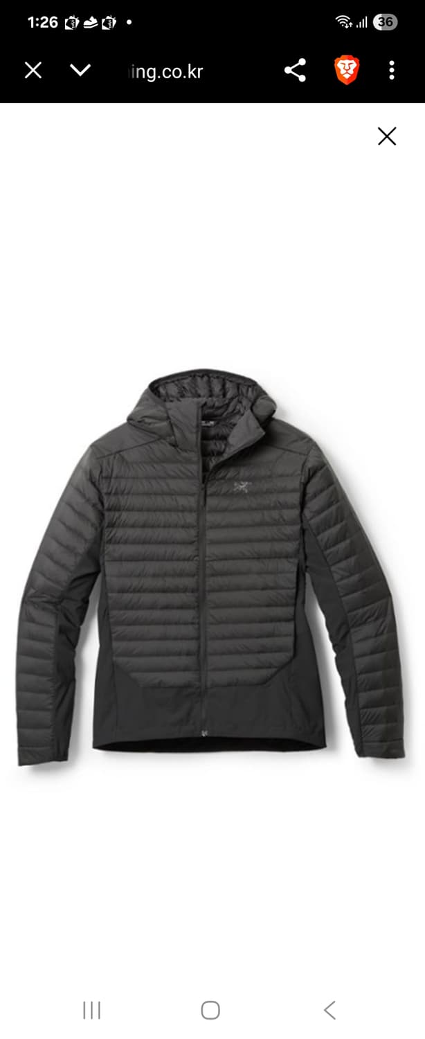 아크테릭스 세륨 하이브리드 L 상품이미지1