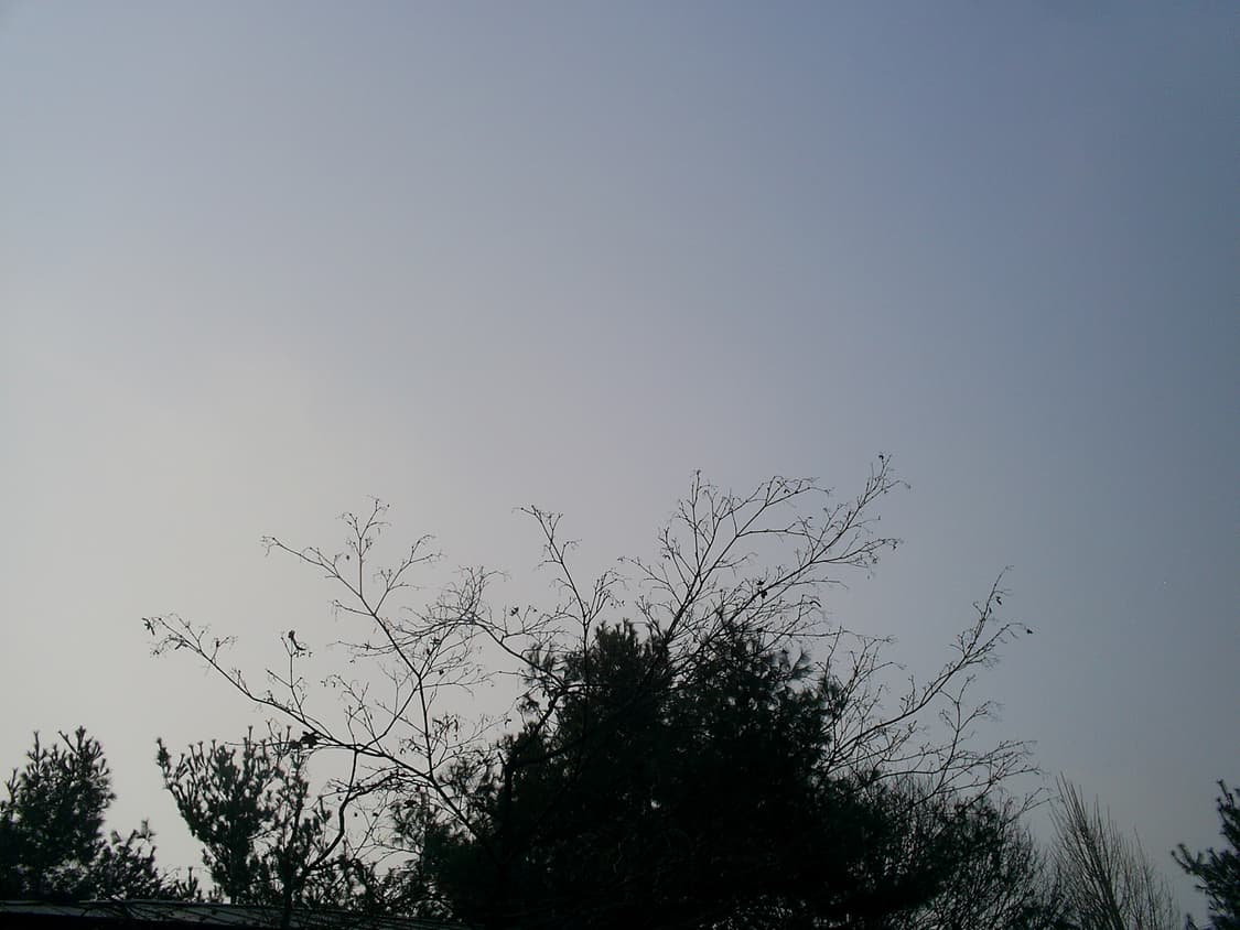 삼성케녹스 D402 디카 상품이미지6