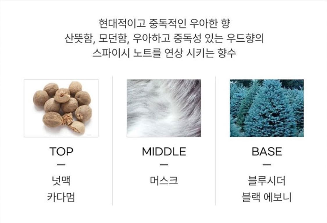 나르시소 로드리게즈 포힘 블루 느와르 오드뚜왈렛 100ml 상품이미지6