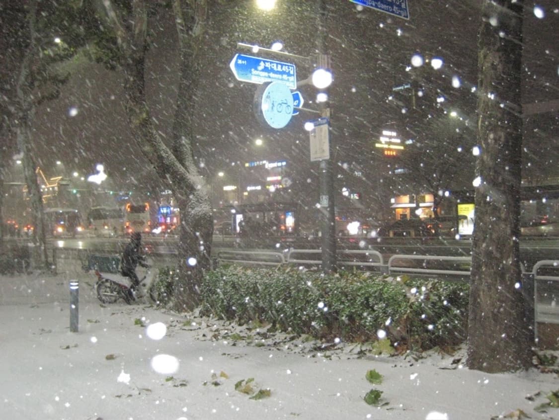 토모토모유인카메라 /캐논 ixus 850is / IXY 900 IS 디지 상품이미지10