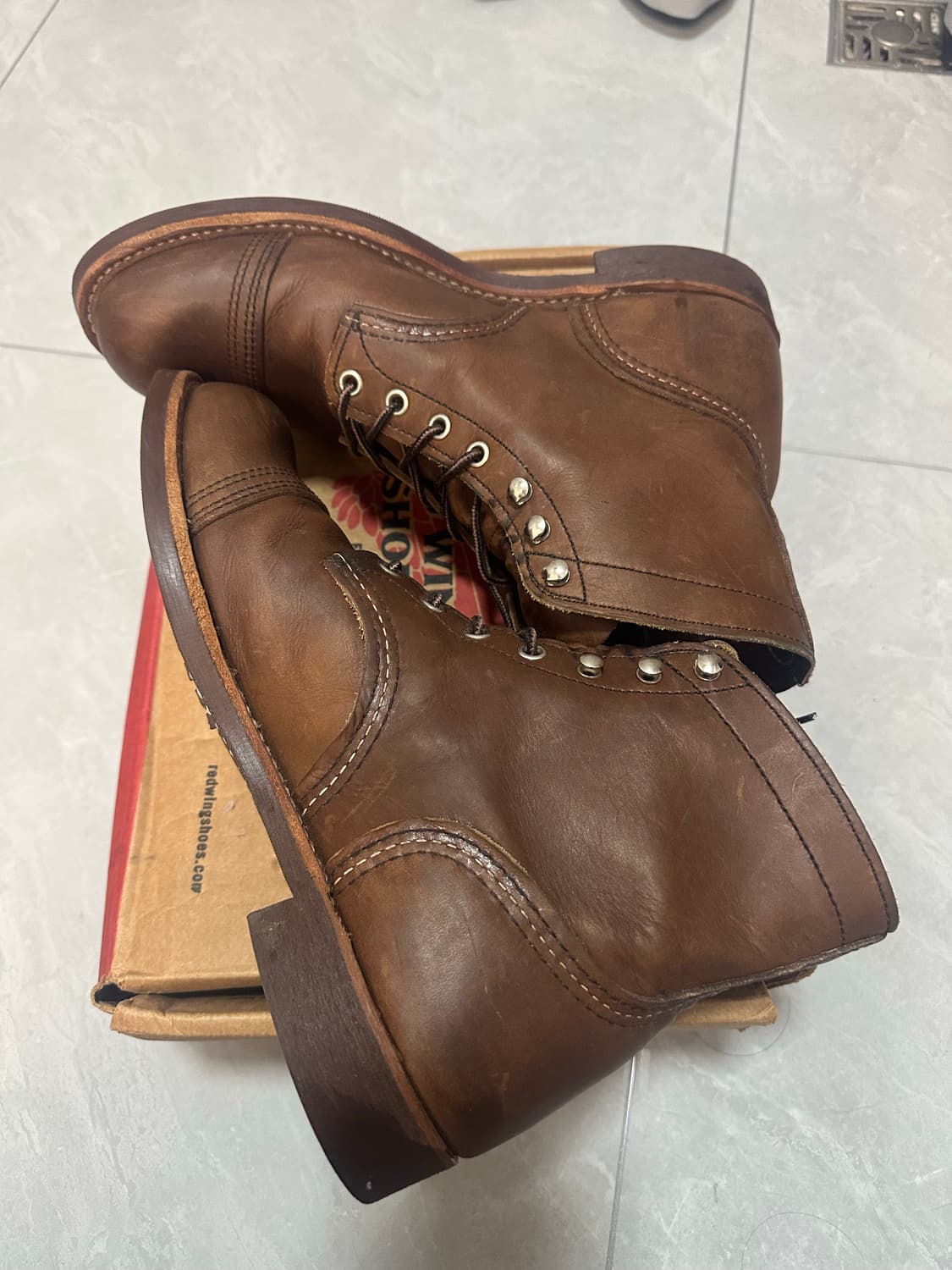 레드윙 8111 8d 신형 상품이미지4