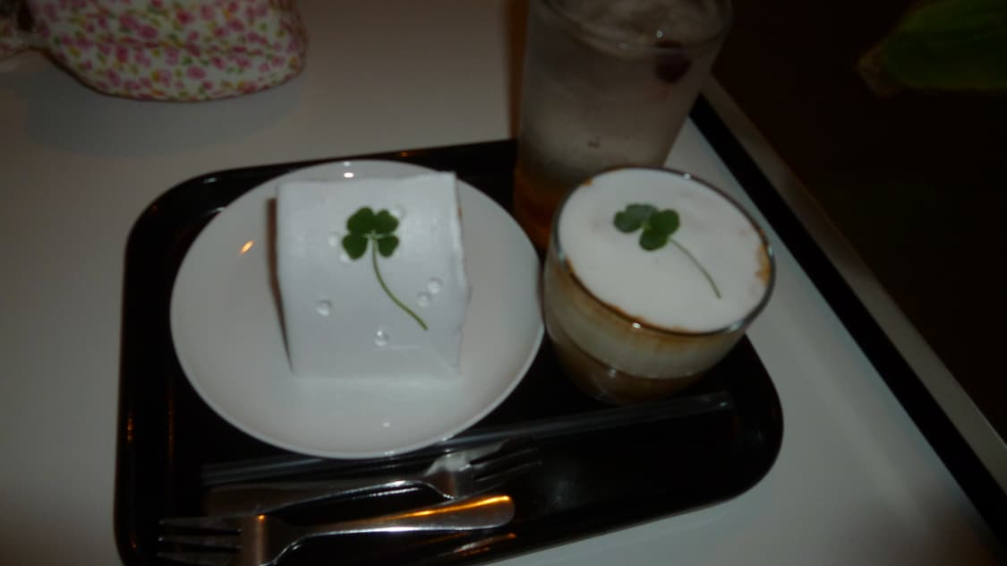 파나소닉 루믹스 dmc-fx77 상품이미지7