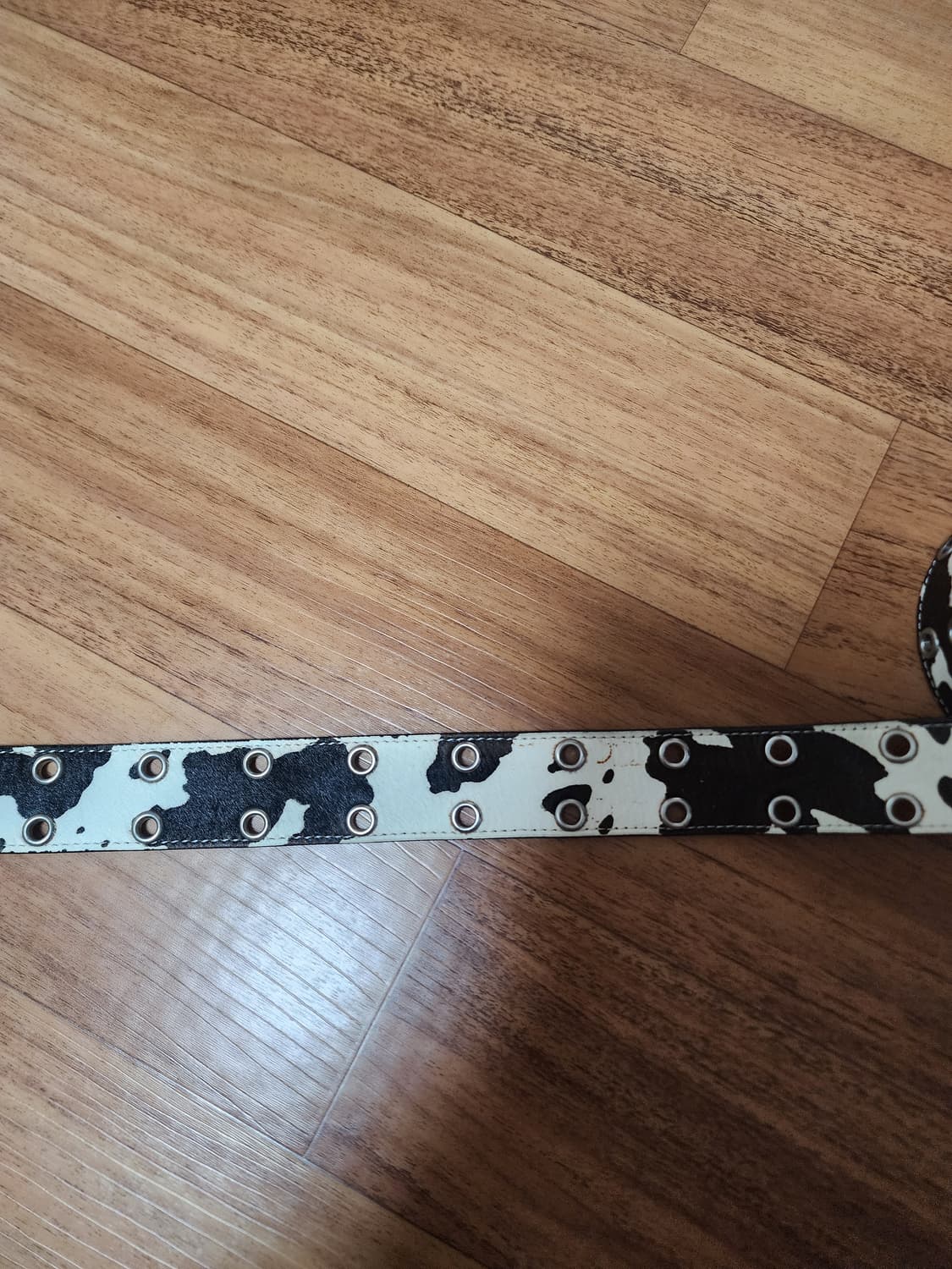 카미엔 벨트 오레오 상품이미지2