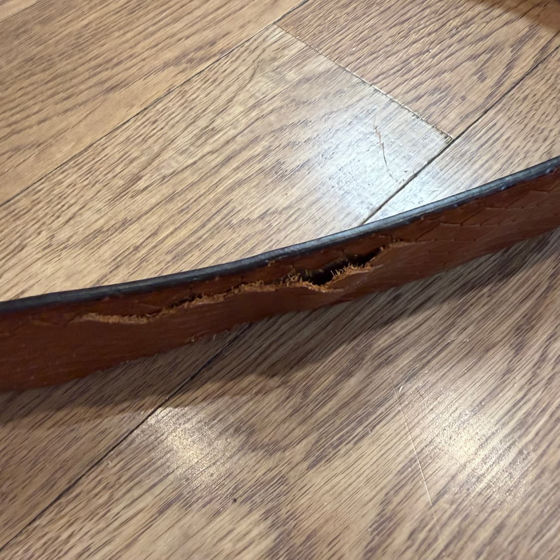 구찌 브라운 스네이크 엠보싱 가죽 인터로킹 GG 상품이미지5