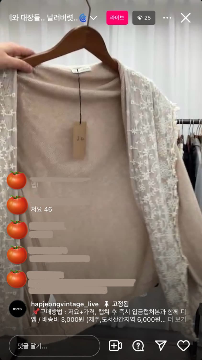 빈티지 얼스뮤직 레이스 가디건 / 모리걸 하구미 할모리 상품이미지4