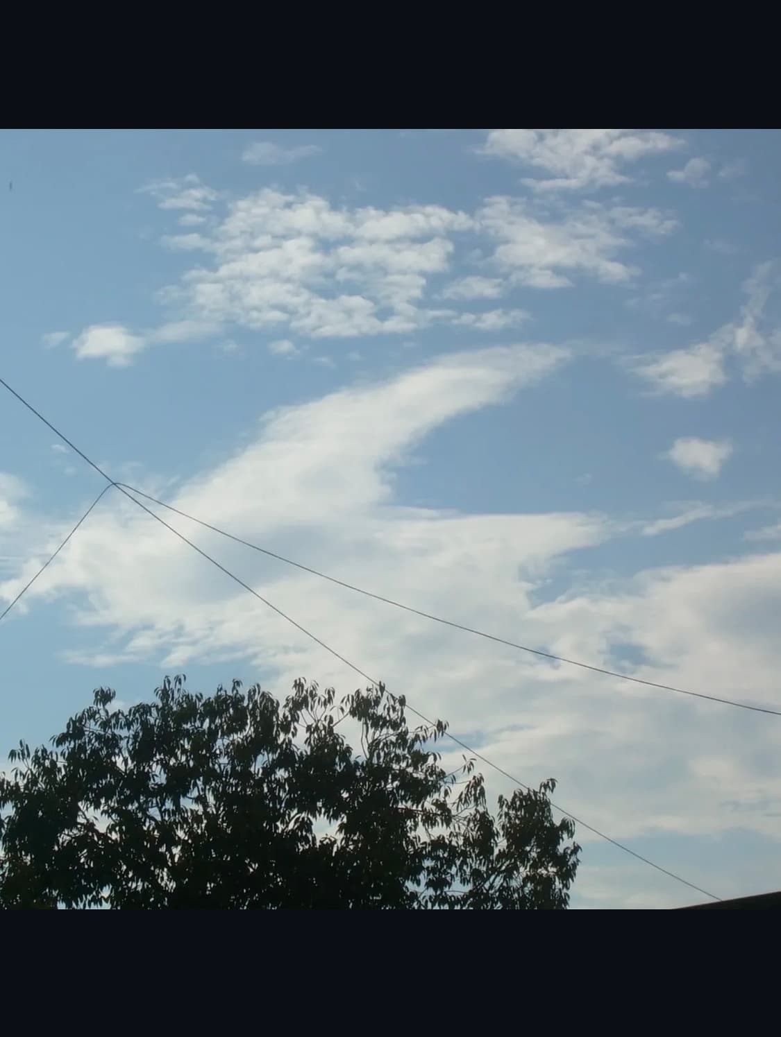 니콘 쿨픽스 l4 디지털카메라 상품이미지8