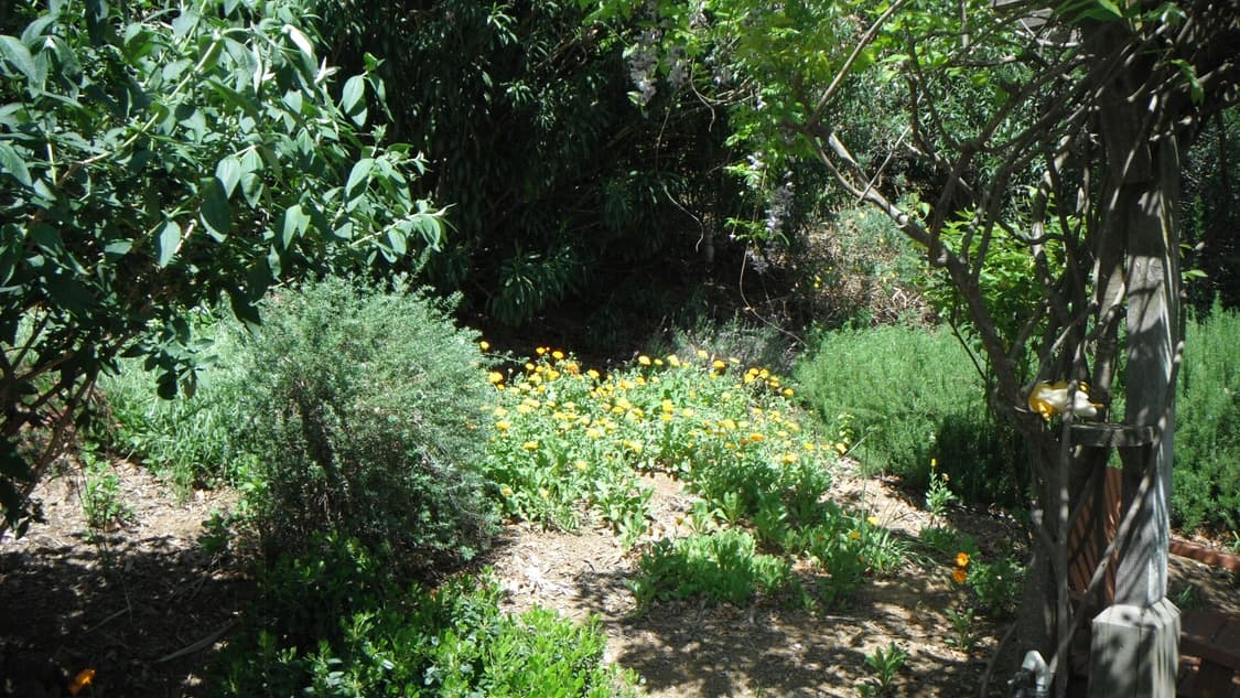 작례O) 후지필름 파인픽스 XP20 디지털 카메라 상품이미지3