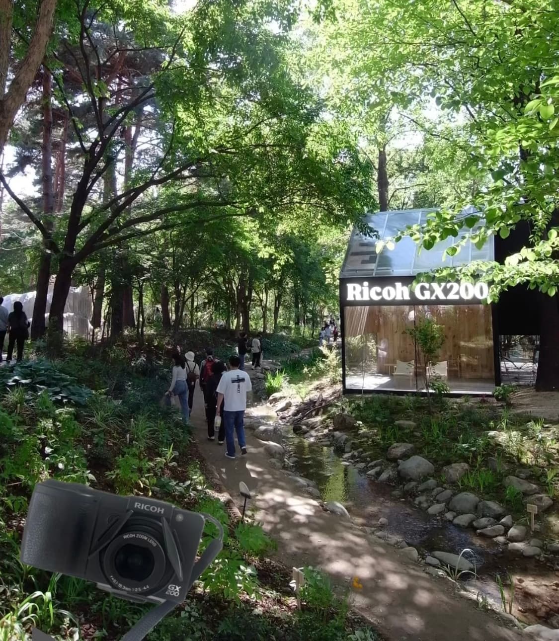 리코 Gx200 (서울숲 작례 O) 상품이미지1