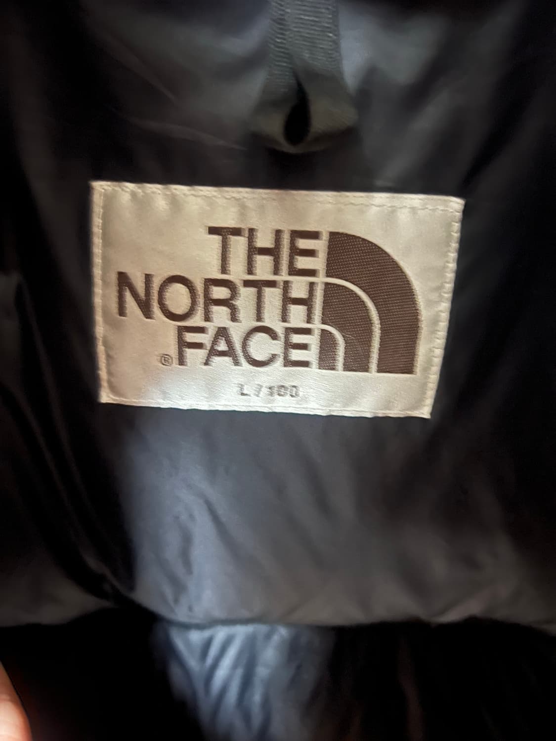 노스페이스패딩 YQJ NJ1DR50K 노벨티 눕시 다운 자켓 상품이미지2