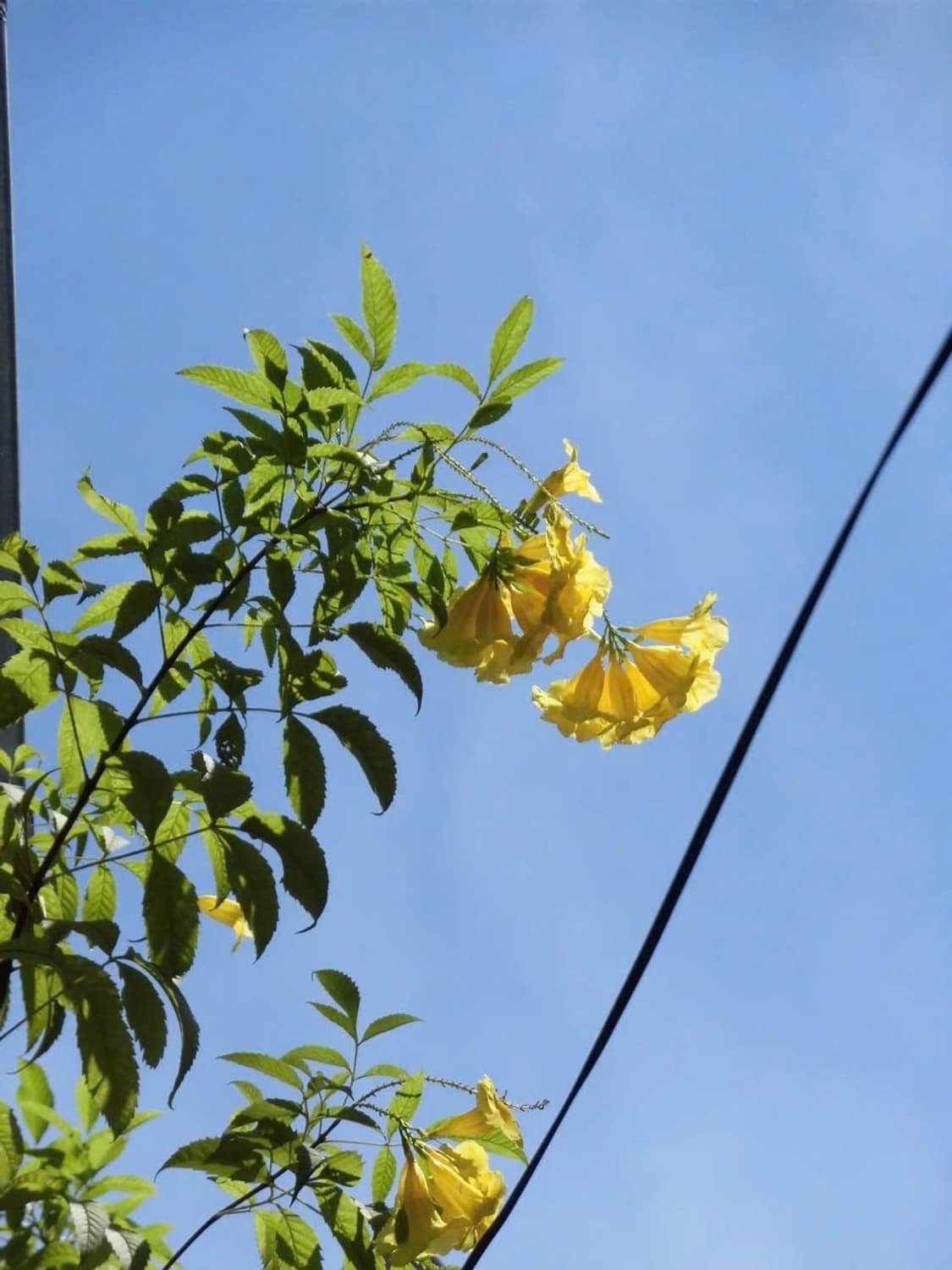 ✨아일릿 카메라 ! Casio Exilim ZS180 작례 o 엑슬림 상품이미지4